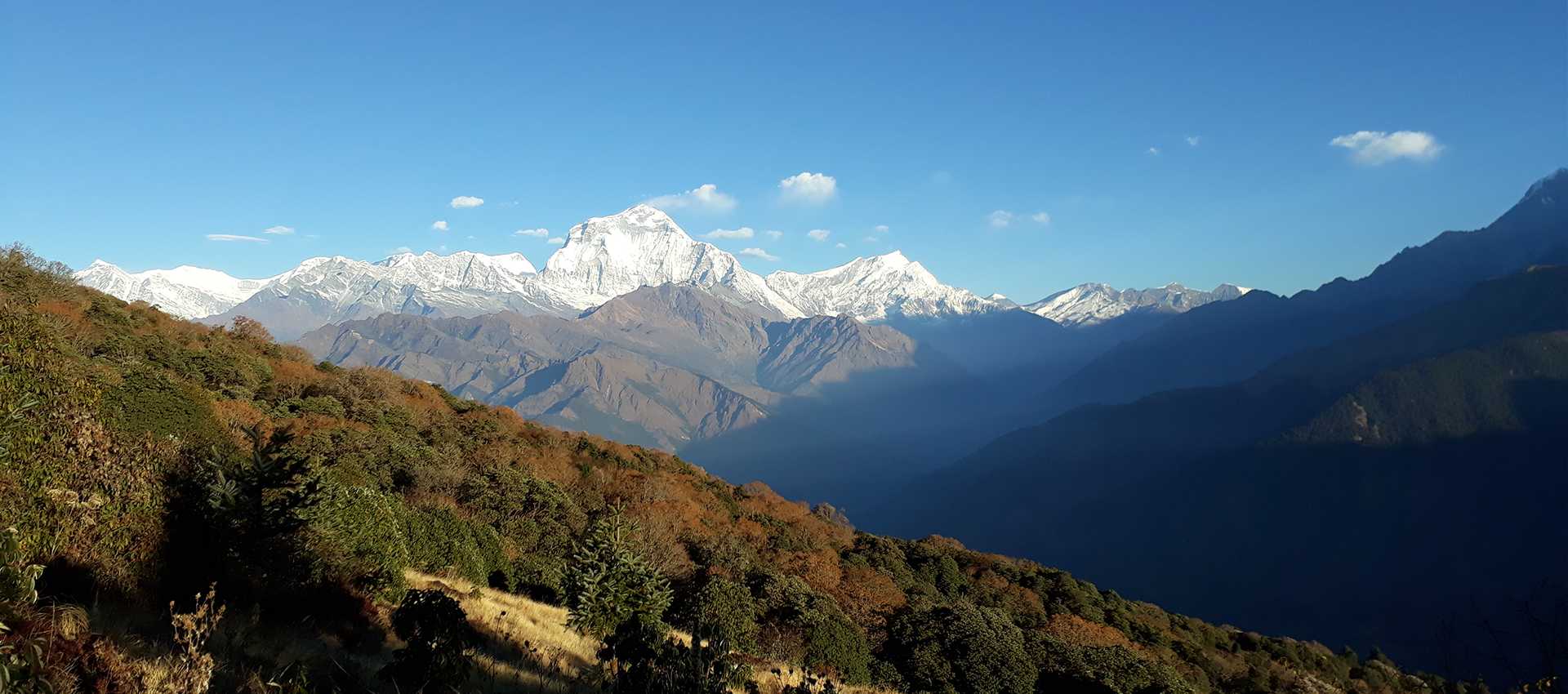 Ghorepani Poon Hill Trek