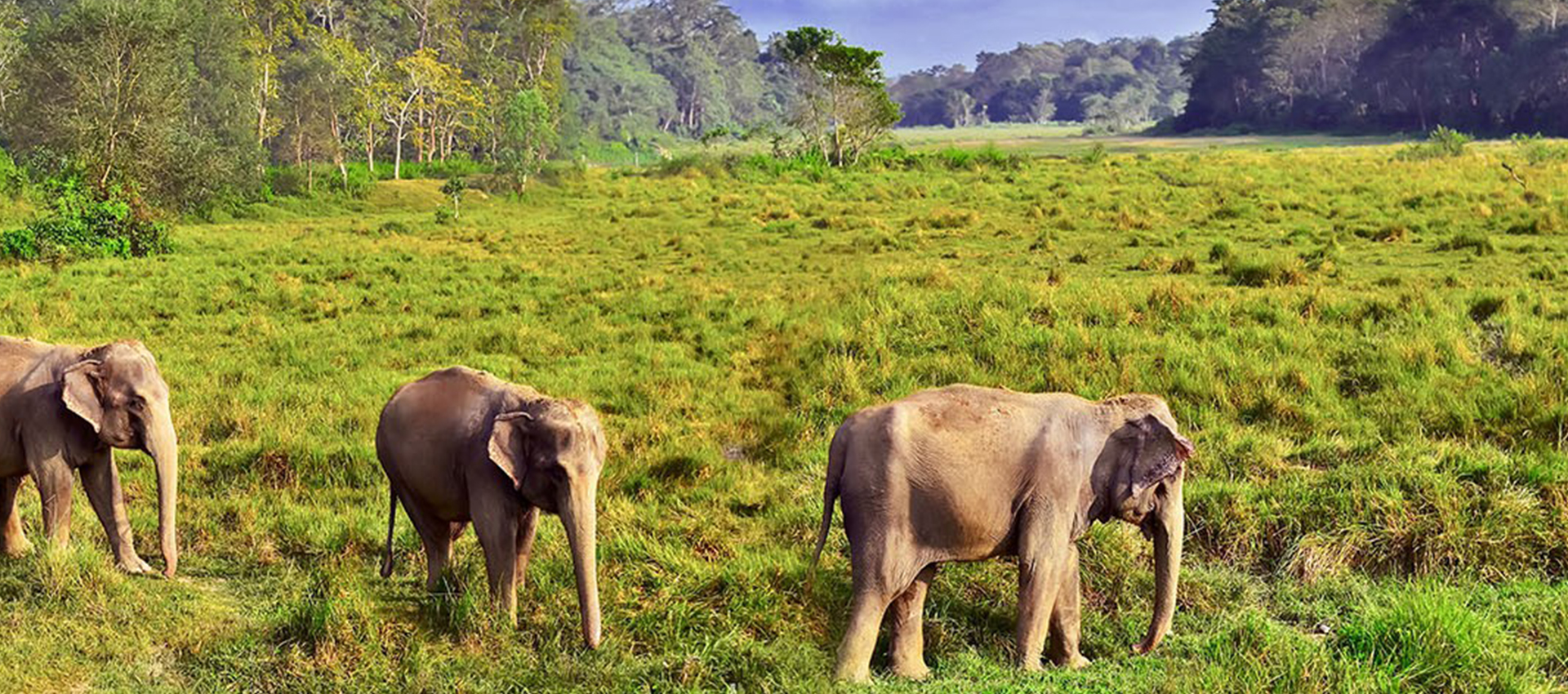 Bardia National Park Tour