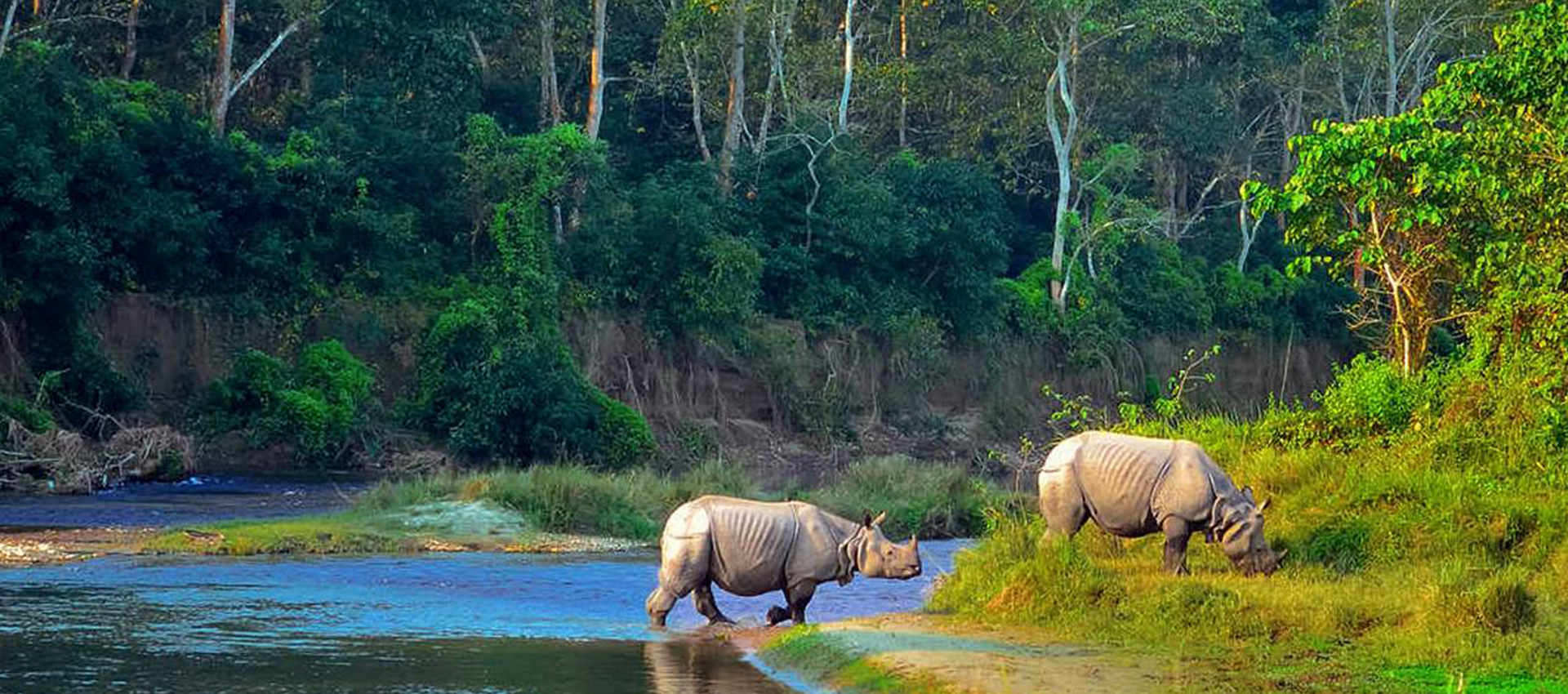 Chitwan Jungle Safari Tour