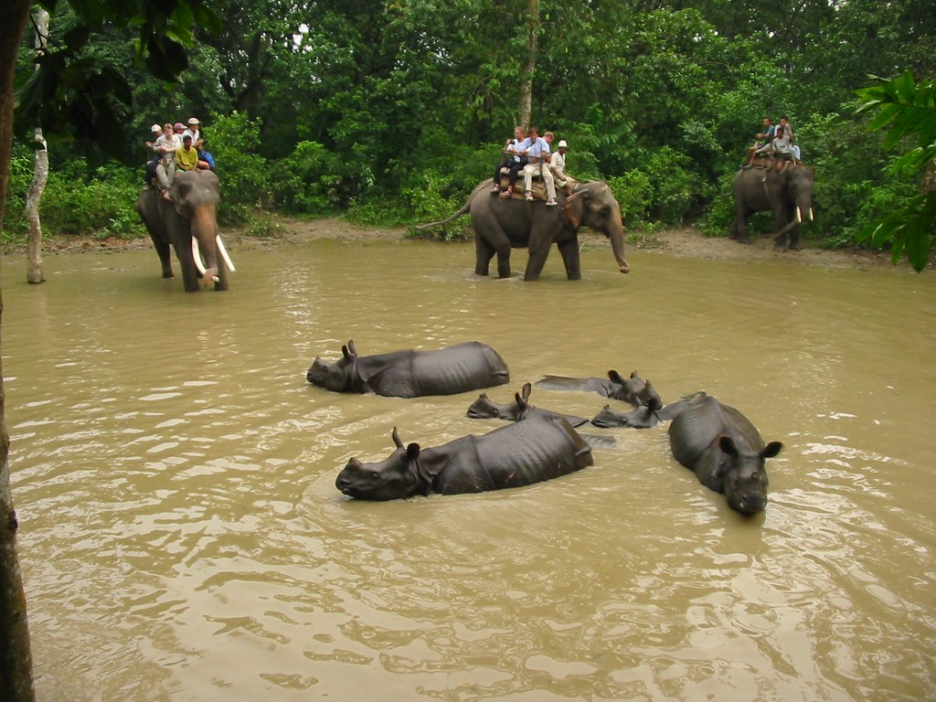 Chitwan Jungle Safari Tour