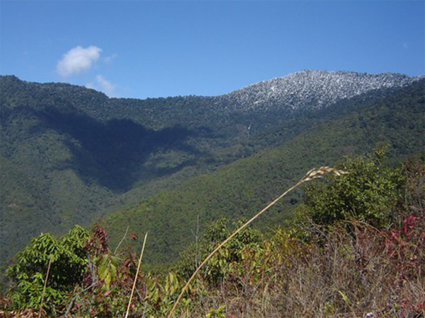 Shivapuri Hike